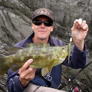 Spinnerbait Fishing Lure Kit with Tackle Boxes Spinnerbait Fishing Lure Kit with Tackle Boxes
